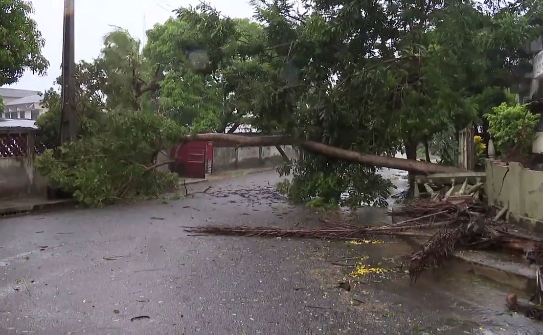 A tree lays across a street in Quelimane on Sunday after  Freddy made its second landfall in Mozambique.