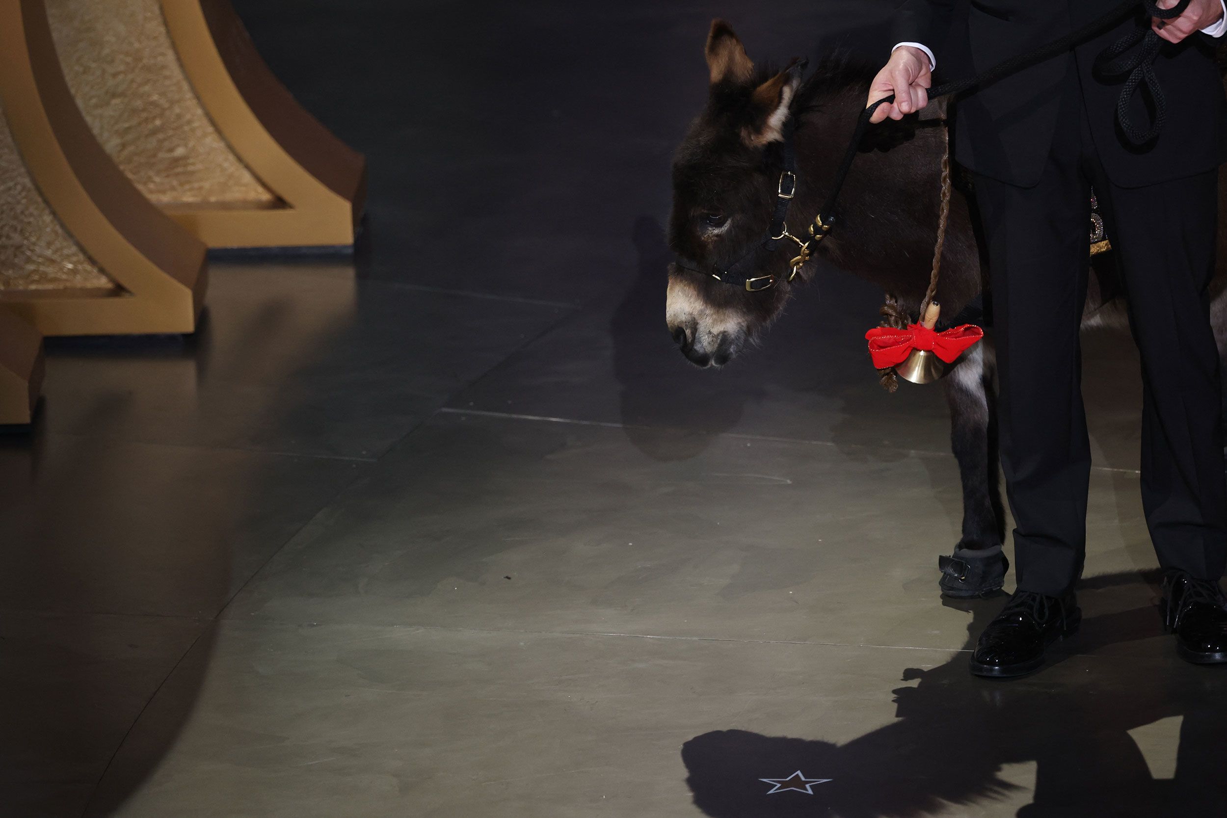 Jenny, the donkey from "Banshees of Inisherin," is walked on stage by Kimmel. Kimmel said Jenny was a "certified emotional support donkey" — or at least that's what they told the airline, he said, to get Jenny to Los Angeles for the awards show.