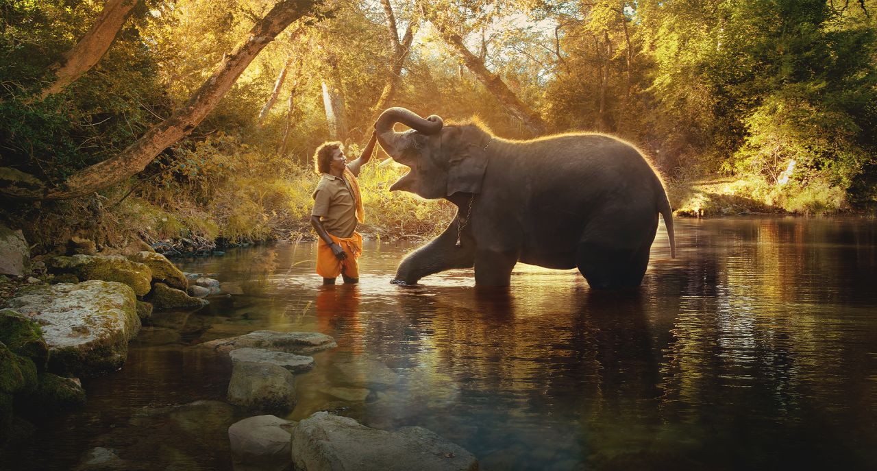 <strong>Best documentary, short subject:</strong> "The Elephant Whisperers"