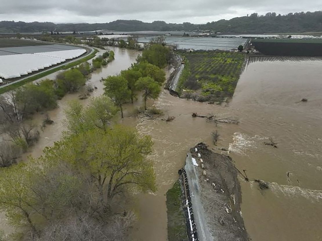 A breached levee and flooded river are seen Sunday in Pajaro, California.