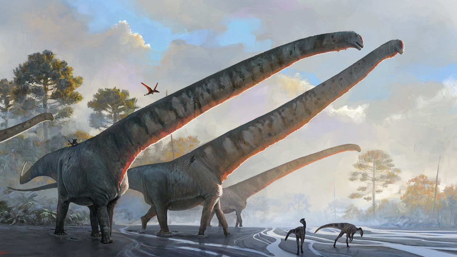 Mamenchisaurus sinocanadorum had the longest neck of any known dinosaur, researchers said. 