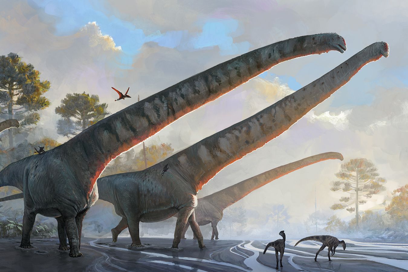 Meet the dinosaur with a record-breaking neck longer than a school ...