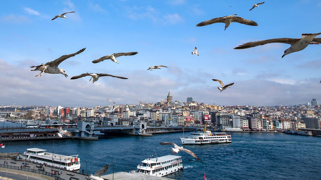 Seagulls take to flight as Galata Tower is seen behind them during a sunny day in Istanbul on March 20, 2019.