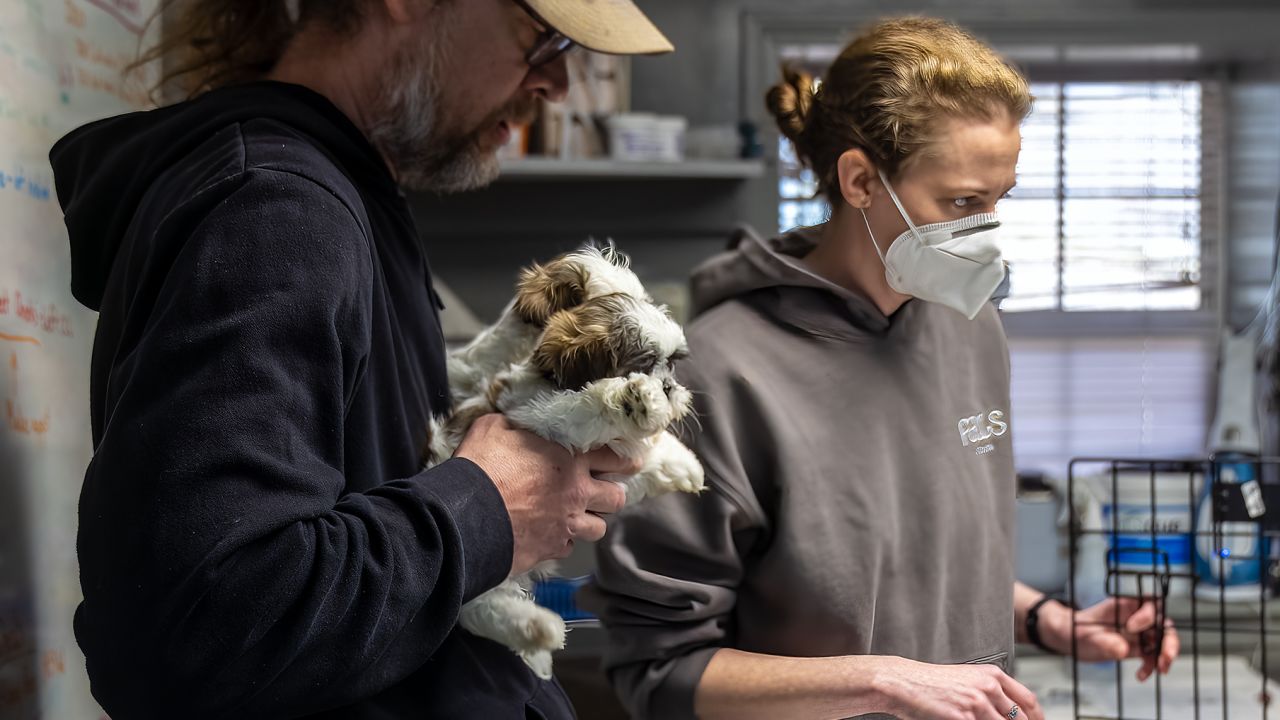 PAWS Atlanta's staff members take care of pets during a public vaccine clinic on February 23.