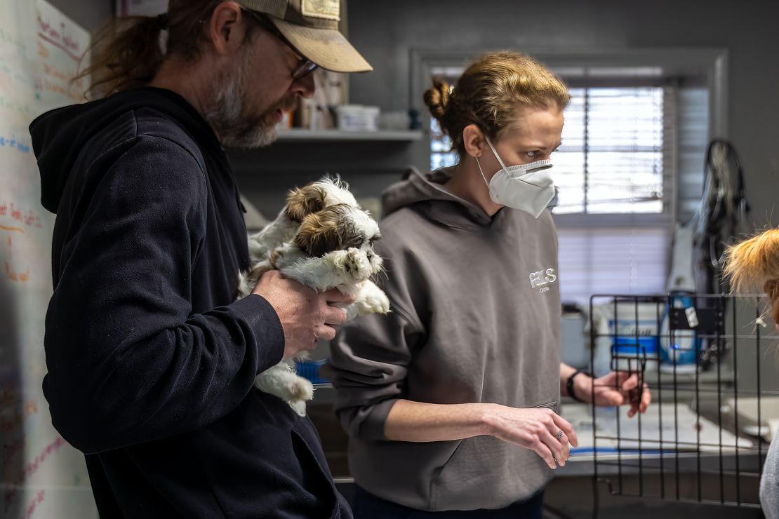 PAWS Atlanta's staff members take care of pets during a public vaccine clinic on February 23.
