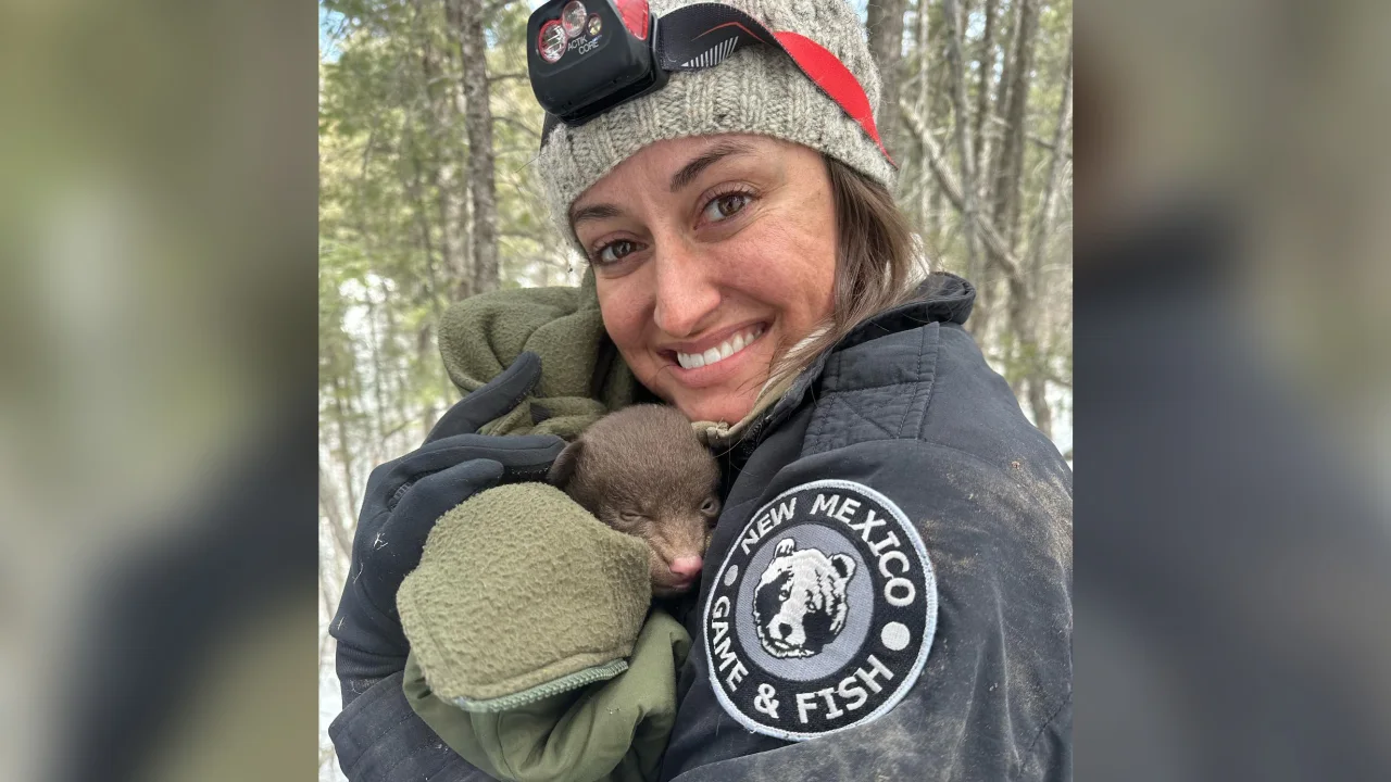 New Mexico Game and Fish is now hiring ‘professional bear huggers’