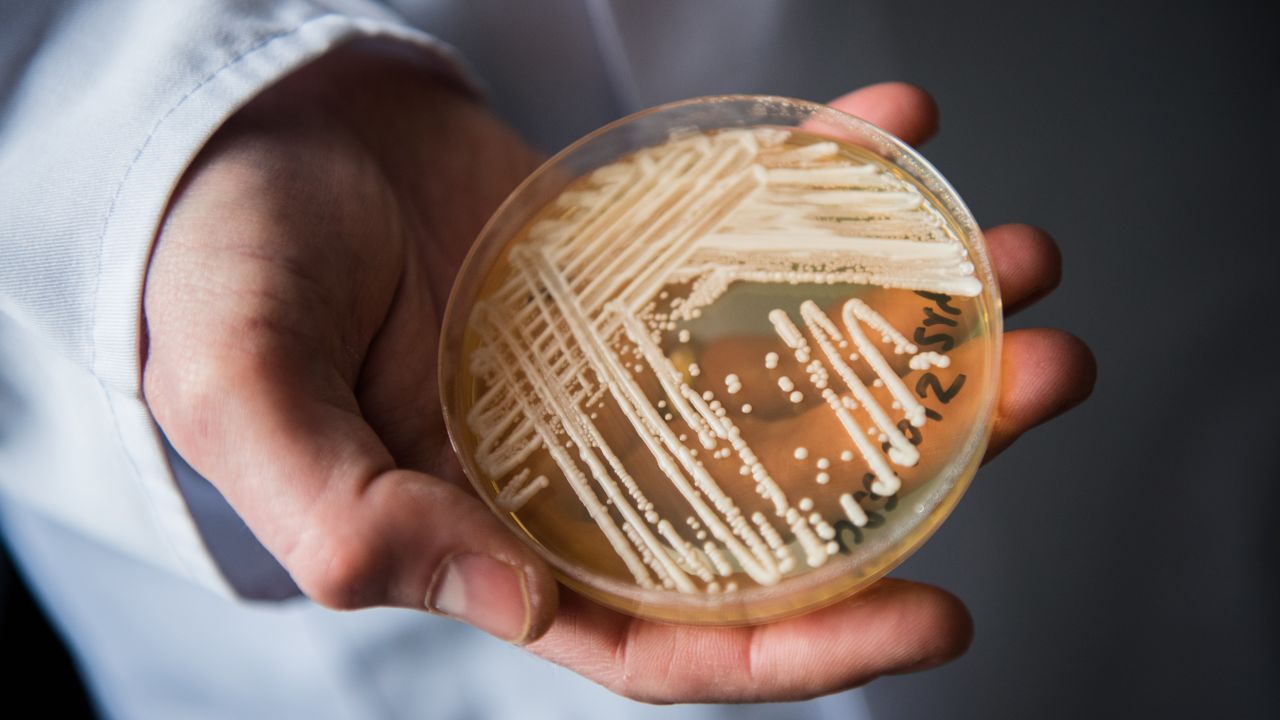 Clinical cases of Candida auris, an emerging fungus considered an urgent threat, rose sharply in 2021.