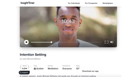 Underlined Insight Timer intent settings