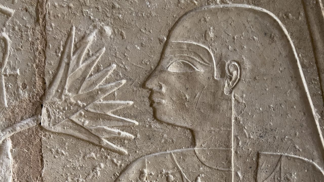 An Egyptian figure is shown smelling a lotus from the tomb of Meresankh in Giza, Egypt.  