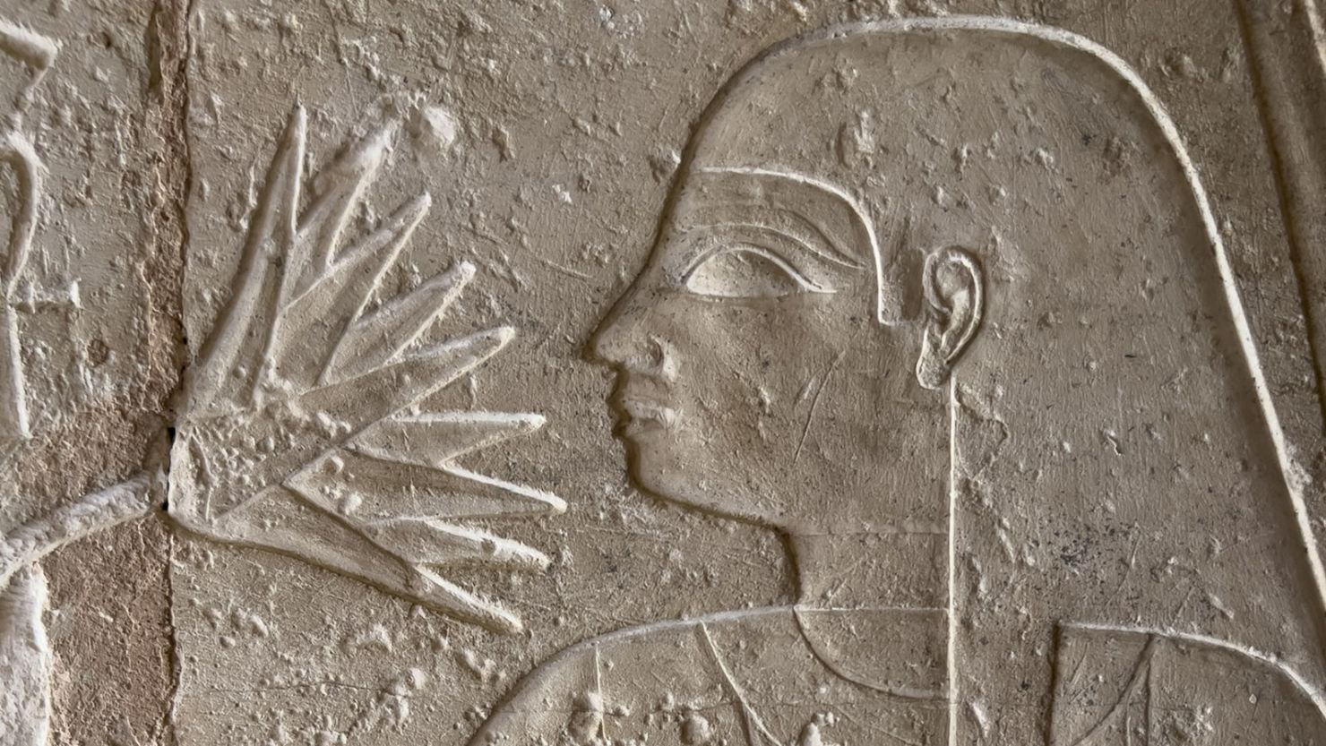 An ancient Egyptian carving of a figure smelling a lotus from the tomb of Meresankh in Giza.