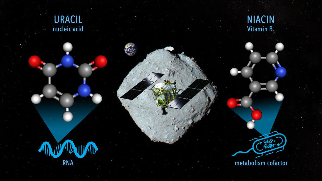 A graphic shows some of the molecules found in samples taken from the asteroid Ryugu by the Japan Aerospace Exploration Agency's Hayabusa2 mission. 