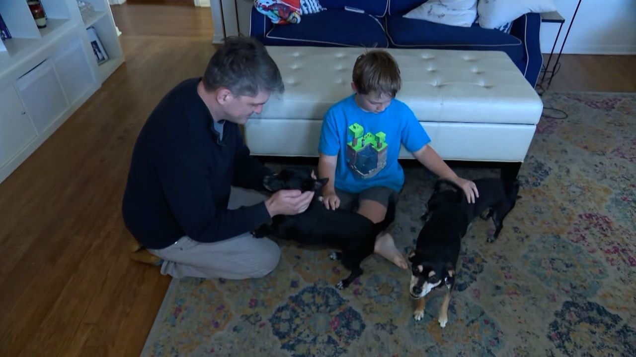 Wade Armstrong y su hijo, Declan, juegan con sus perros mientras Declan está en casa un día escolar debido a la huelga del LAUSD.
