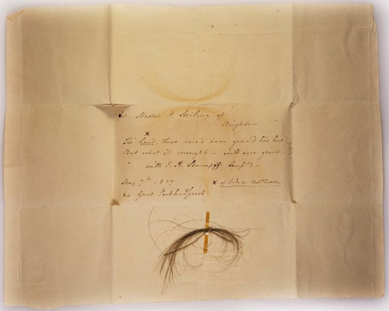 Locks Of Beethoven's Hair Reveal Secret Family History And Health ...