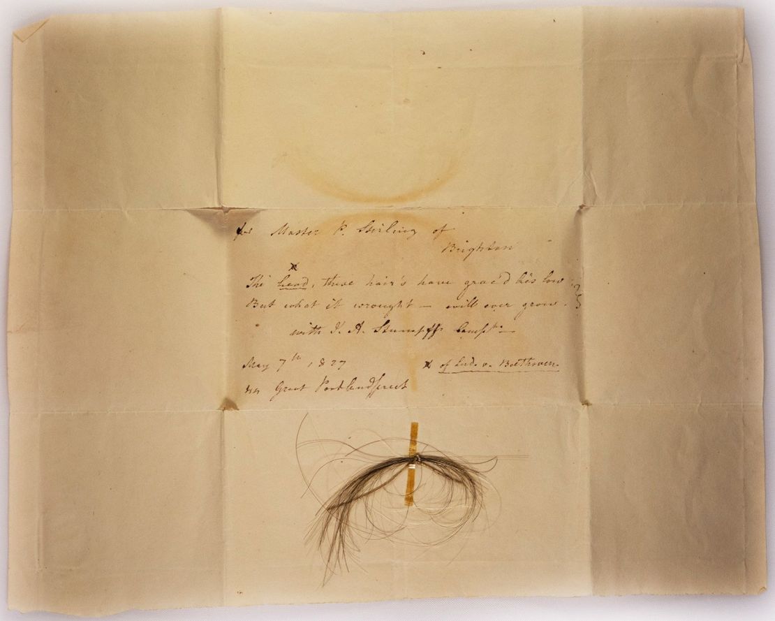The lock of hair from which Beethoven's whole genome was sequenced.