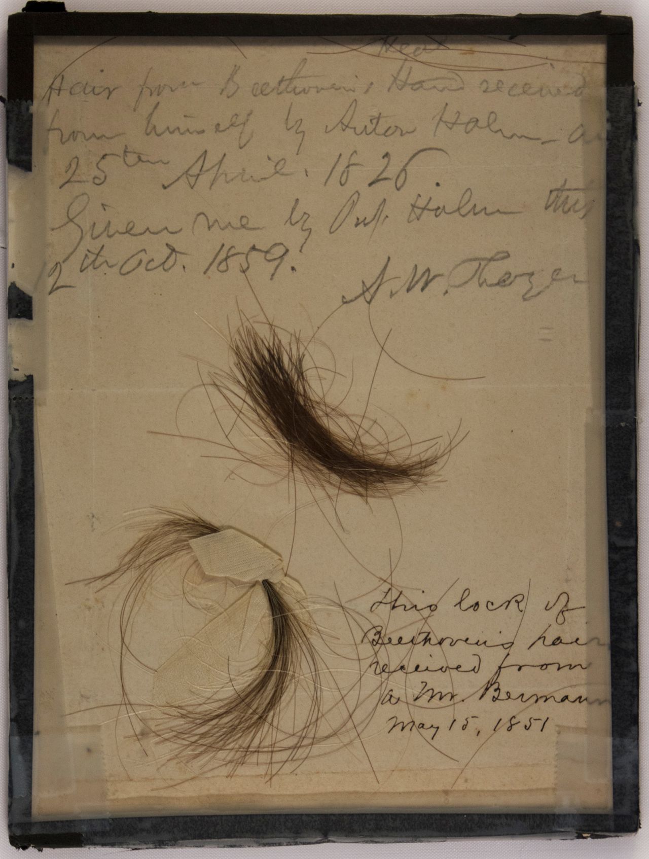 These two locks of hair, including one delivered to pianist Anton Halm by Beethoven, were both authenticated by the study.