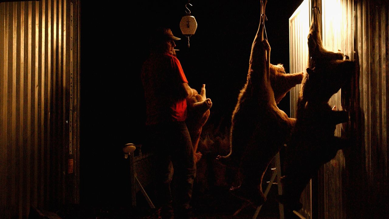 A professional kangaroo hunter with carcasses at his property in the NSW outback on October 25, 2002.