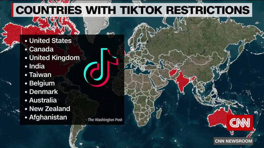 Which countries have banned TikTok and why?