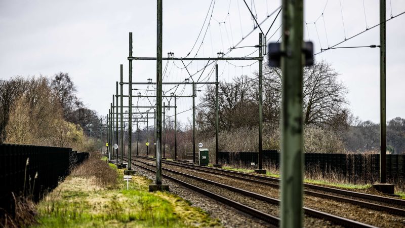 NextImg:Burrowing badgers halt Dutch train services | CNN