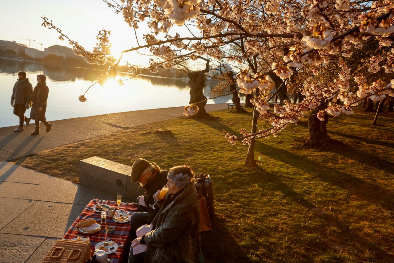 Elizabeth Willson and Garland Phillips have a picnic breakfast amongst the blooming cherry blossoms in Washington, DC, on Monday, March 20. <a href="http://www.cnn.com/2023/03/16/world/gallery/photos-this-week-march-10-march-16-ctrp/index.html" target="_blank">See last week in 36 photos</a>.