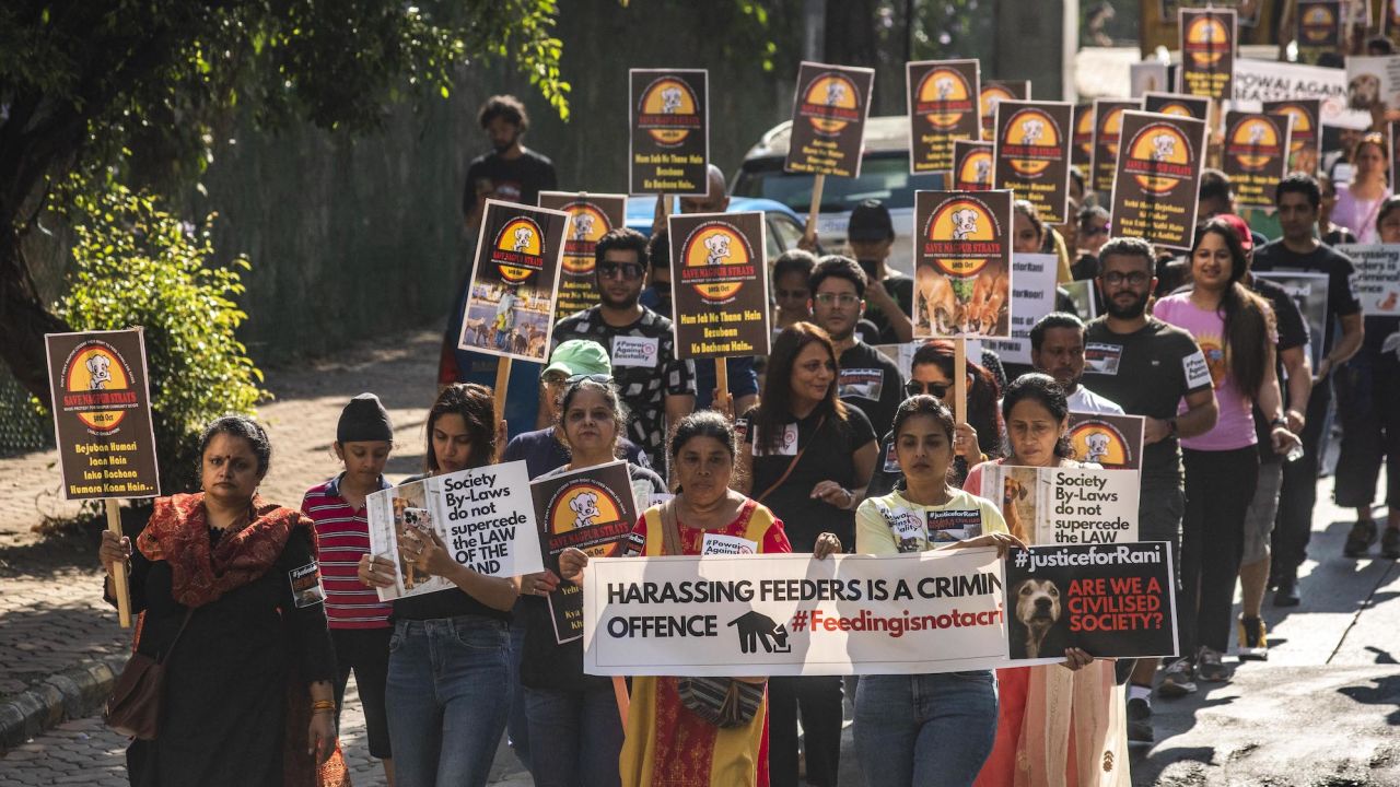 Animal lovers hold placards in protest of the Mumbai High Court's decision to ban the feeding of stray dogs in public places on November 6, 2022.