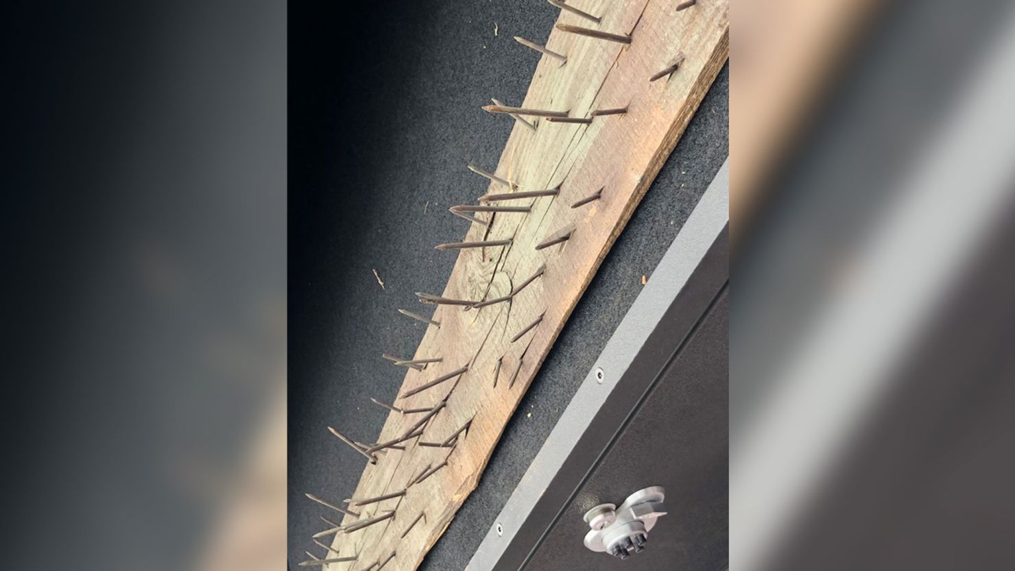 A DeKalb County official said hidden traps, including boards with nails hidden by leaves and underbrush, were found.