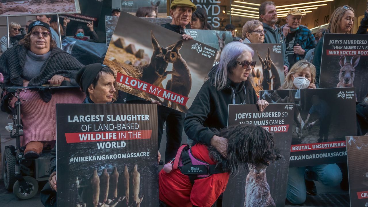 Protesters put pressure on Nike to end its use of kangaroo leather during an Animal Justice Party protest outside the company's George Street store in Sydney last July.