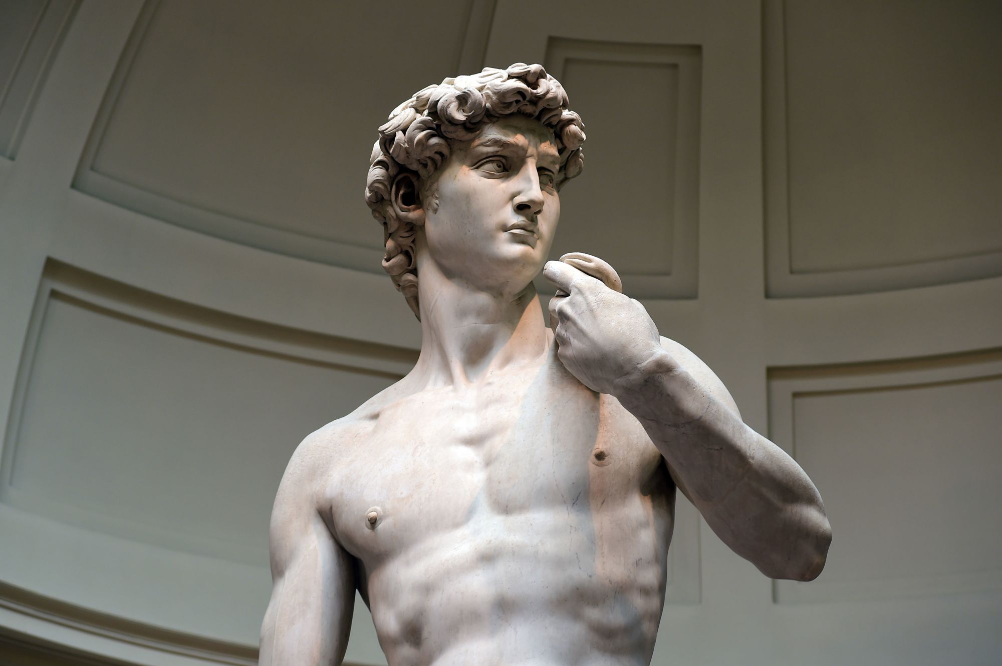 michelangelo david RESTRICTED