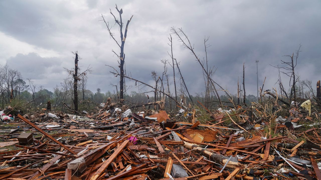 The remains of several homes are seen after the National Weather Service reported a large tornado hit Troup County, in LaGrange, Georgia.