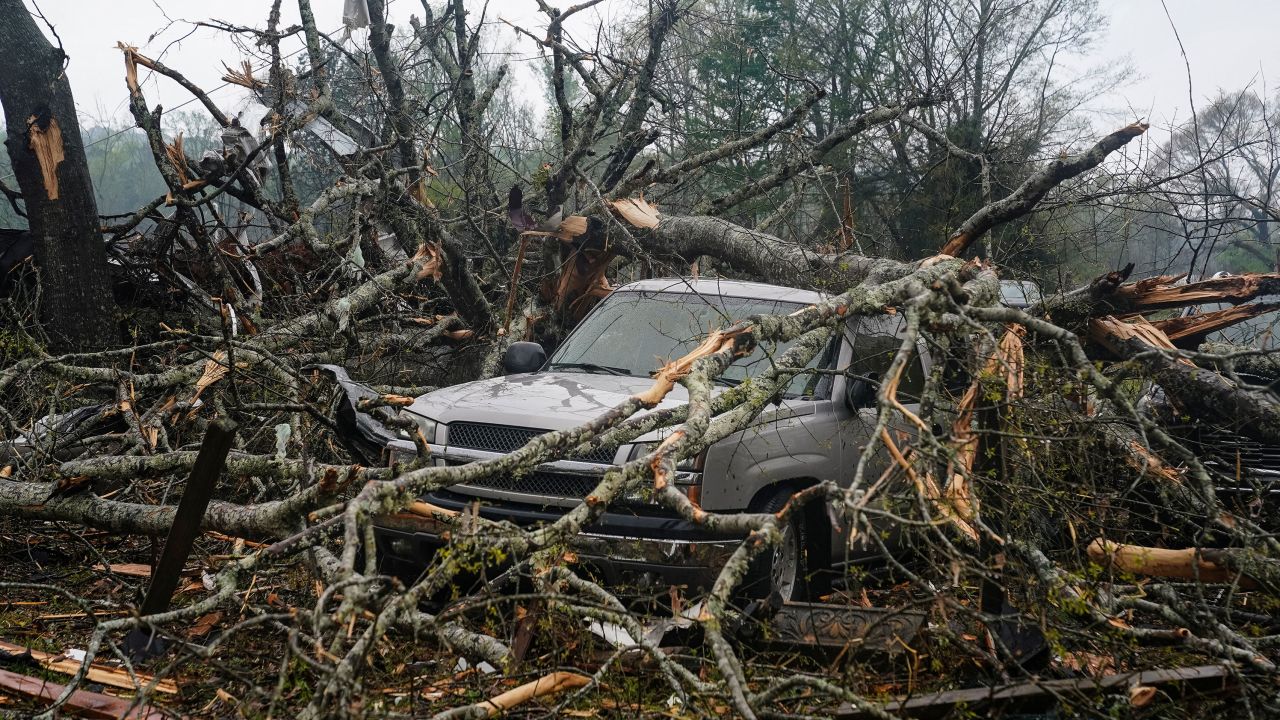 Fallen trees are seen on a truck after the National Weather Service (NWS) reported that a large tornado hit Troup County in LaGrange, Georgia.