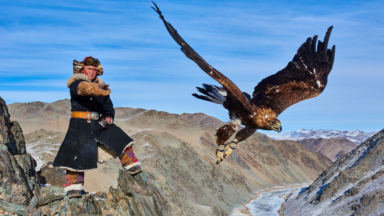 एक मंगोलियाई शिकारी शिकार पकड़ने के लिए अपना सुनहरा चील भेजता है।