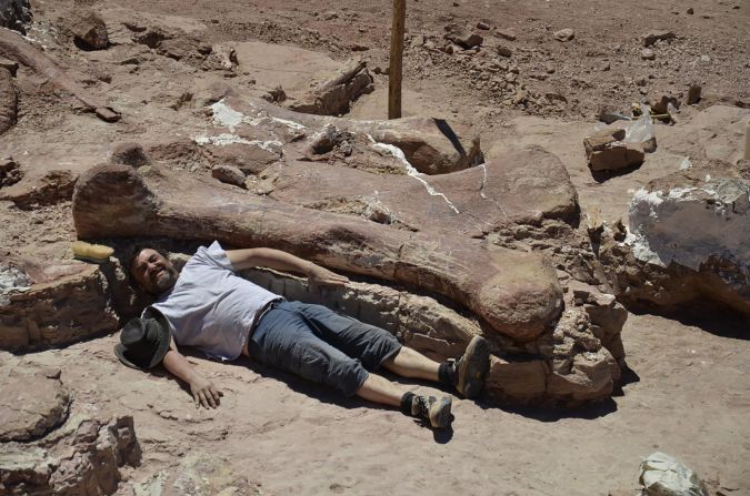 A member of the excavation team lies beside a fossilized Patagotitan femur in Argentina. The first evidence of Patagotitan emerged in 2010, before scientific digs discovered the remains of seven creatures. One 2013 dig unearthed 180 bones. 