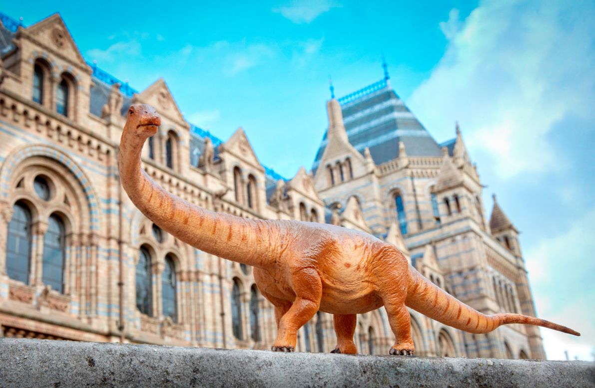 A toy titanosaur outside the front entrance of the Natural History Museum in London. Patagotitan mayorum was thought to have weighed around 57 metric tons and stretched over 120 feet.