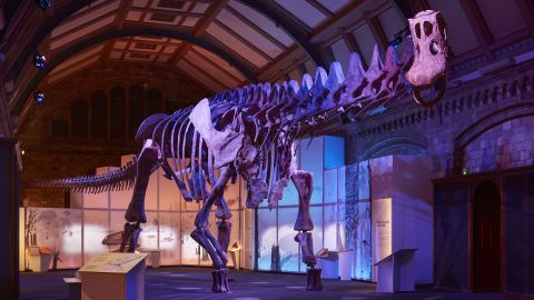 patagotitan skeleton nhm 5