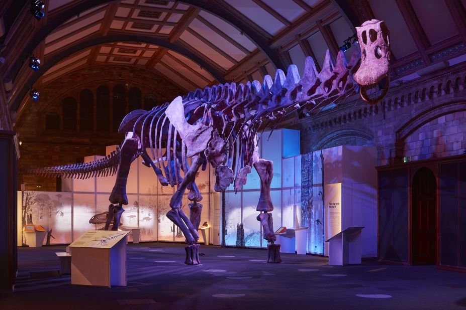Patagotitan mayorum, a giant dinosaur and possibly the largest ever to have walked the Earth, goes on display for the first time in Europe at London's Natural History Museum on March 31. <strong><em>Scroll through to learn more about this gentle giant that lived around 100 million years ago.</em></strong>