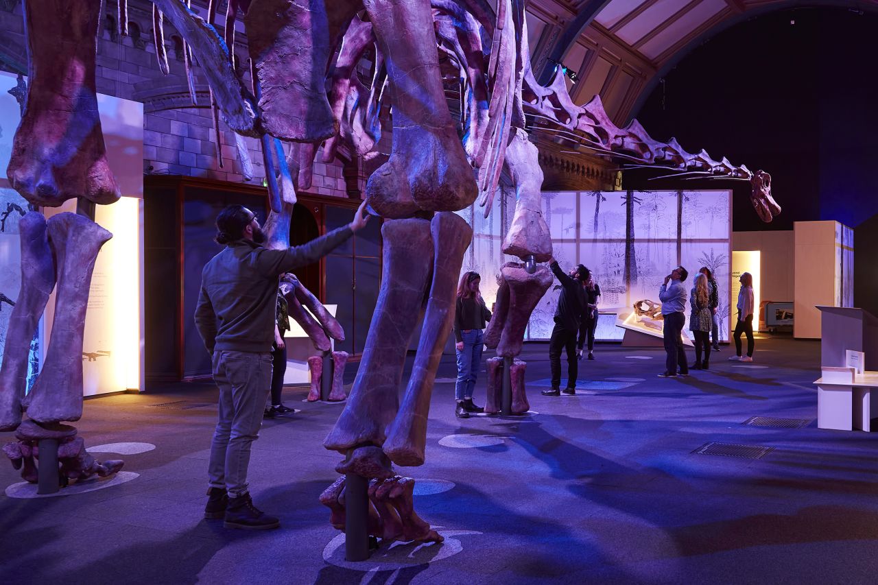 An early guest gets up close and personal with Patagotitan mayorum at the Natural History Museum. 