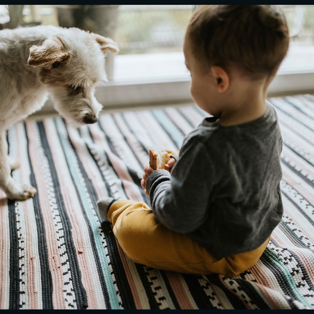 can newborn babies be around dogs