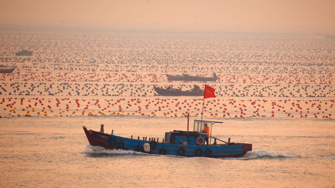 Bateaux de pêche dans une pisciculture flottante au large de Rongcheng, en Chine.
