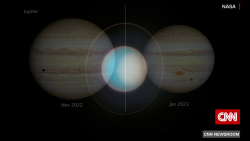 exp The day's top trending stories | 032904ASEG2 | CNNI WORLD_00002001.png