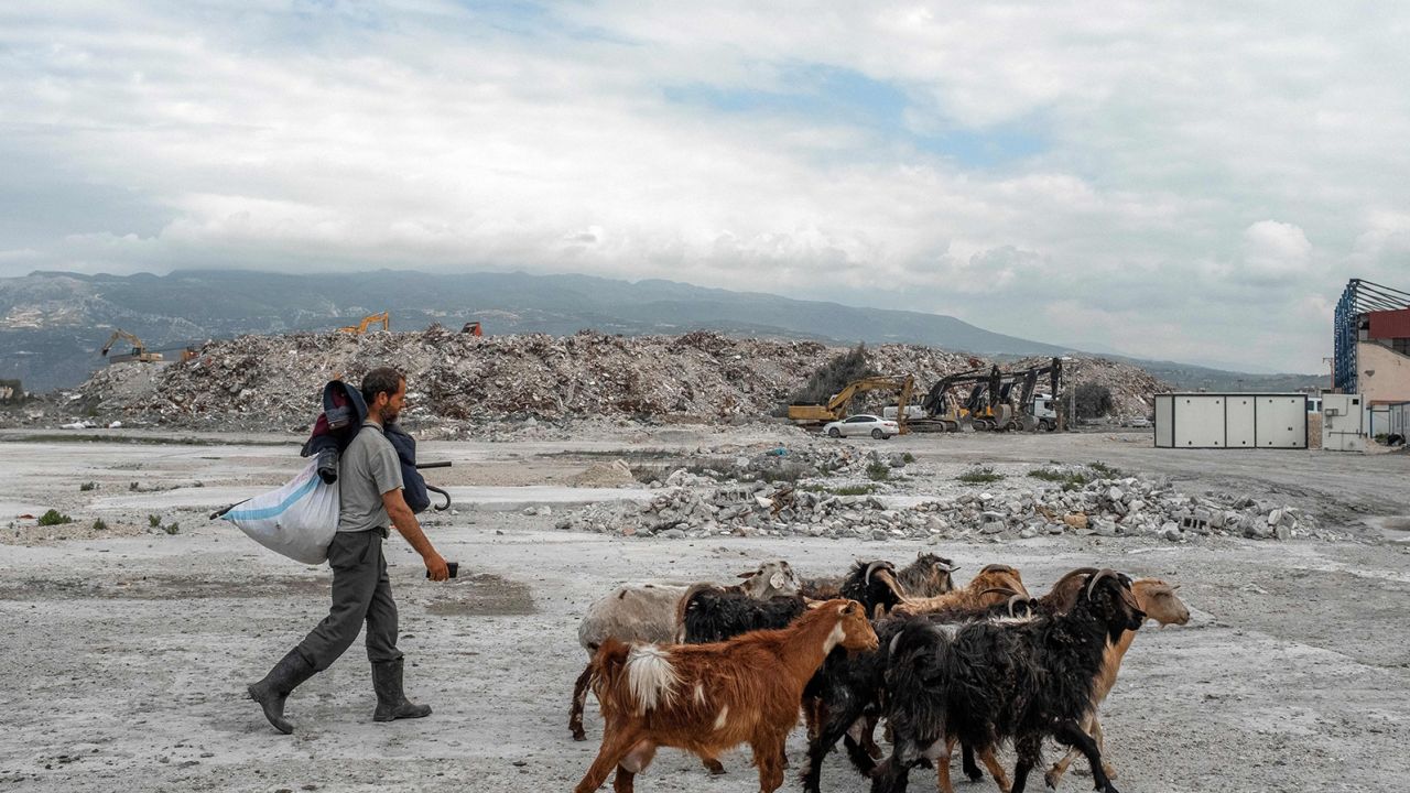 A shepherd walks with his goats as trucks move rubble at Samandag, in Turkey's Hatay province on Tuesday, after a 7.8 magnitude earthquake on February 6 killed more than 50,000 in southeastern Turkey and nearly 6,000 over the border in Syria.