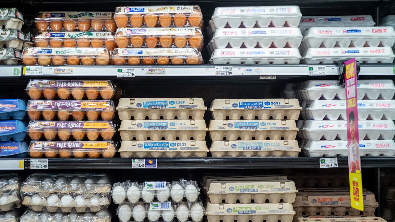 HOUSTON, TEXAS - AUGUST 15: Cartons of eggs are seen for sale in a Kroger grocery store on August 15, 2022 in Houston, Texas. Egg prices steadily climb in the U.S. as inflation continues impacting grocery stores nationwide. (Photo by Brandon Bell/Getty Images)