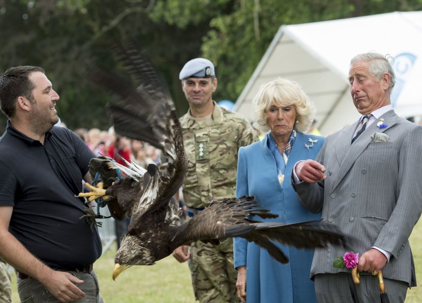 Prince Charles reacts to a bald eagle as it flaps its wings during the Sandringham Flower Show in July 2015.