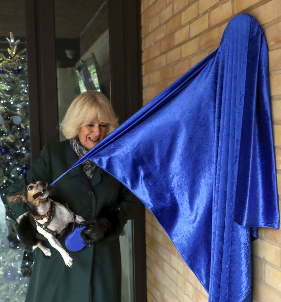 Camilla and Beth, one of her Jack Russell terriers, unveil a plaque as they visit the Battersea Dogs and Cats Home to open new kennels and thank the center's staff and supporters in December 2020.