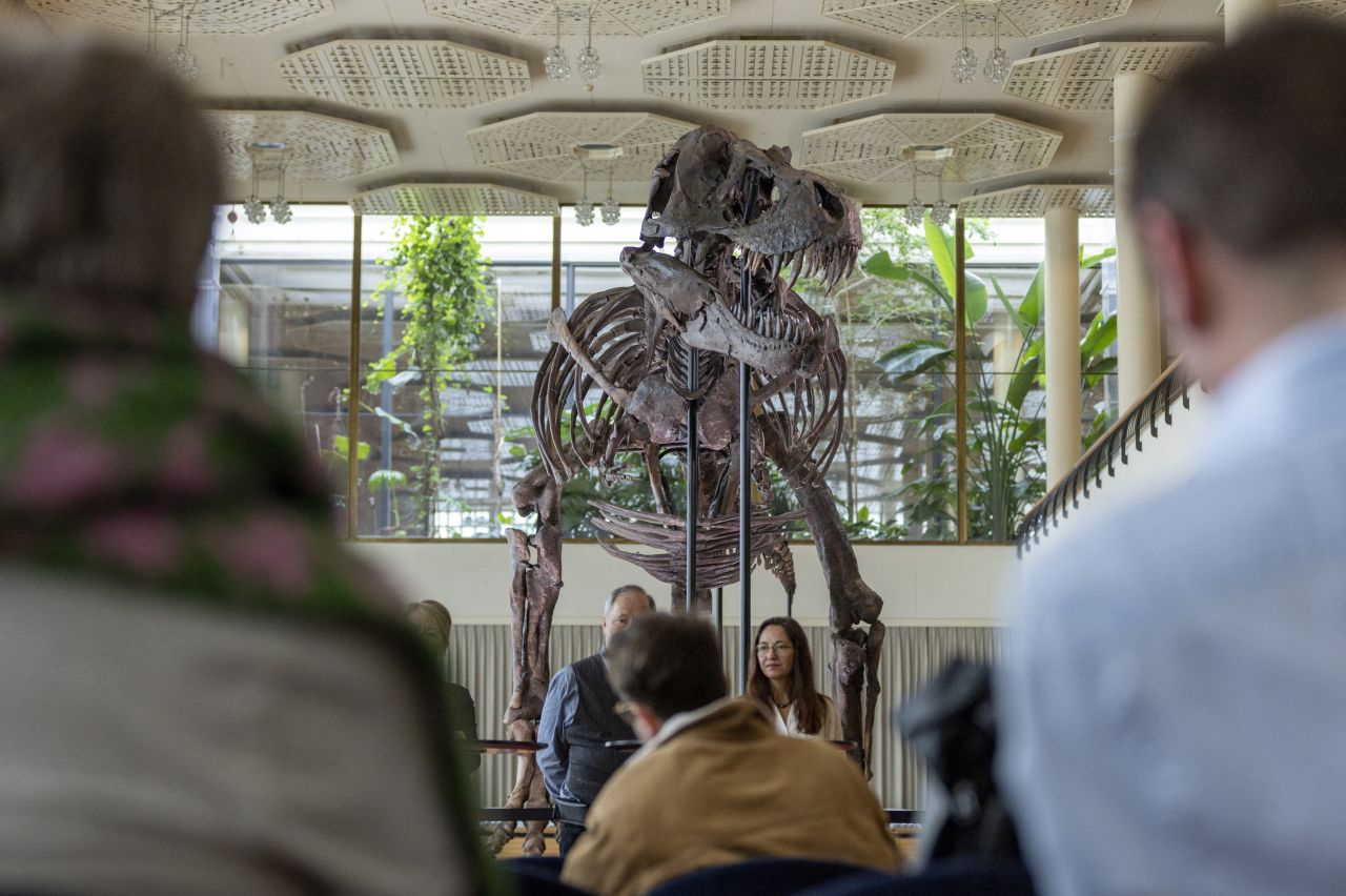 The skeleton, which stands 3.9 meters (12.8 feet) tall, pictured ahead of the auction.