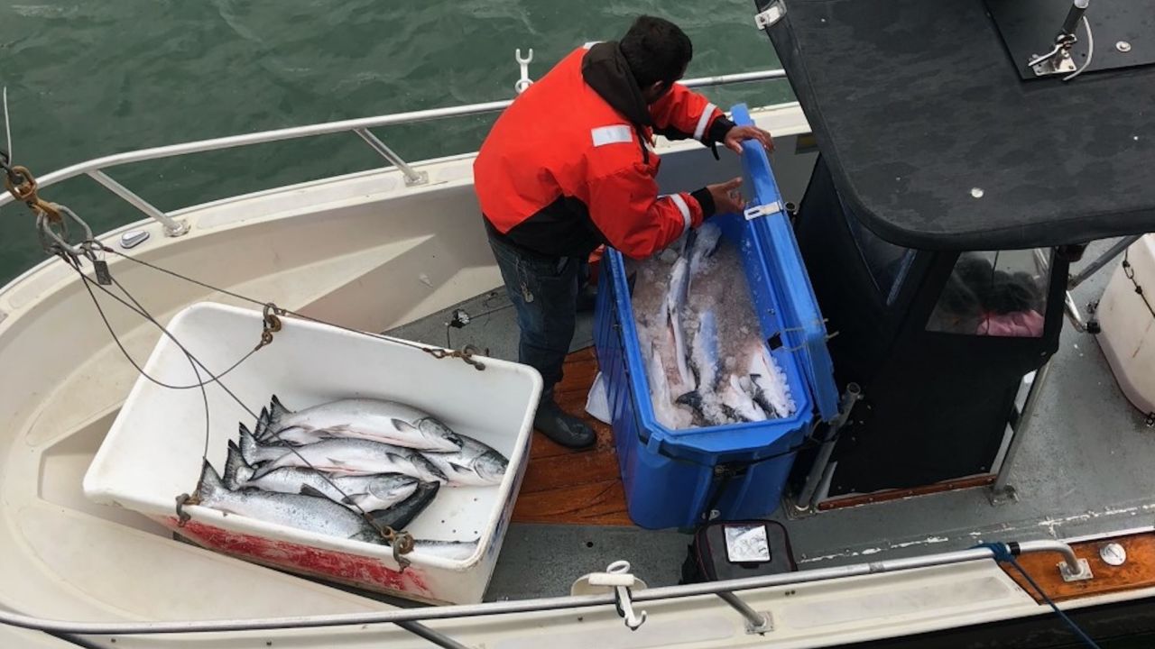 Salmon are unloaded from a fishing boat in the San Francisco Bay Area. The looming ban comes as the West sees a massive decline in fish population.