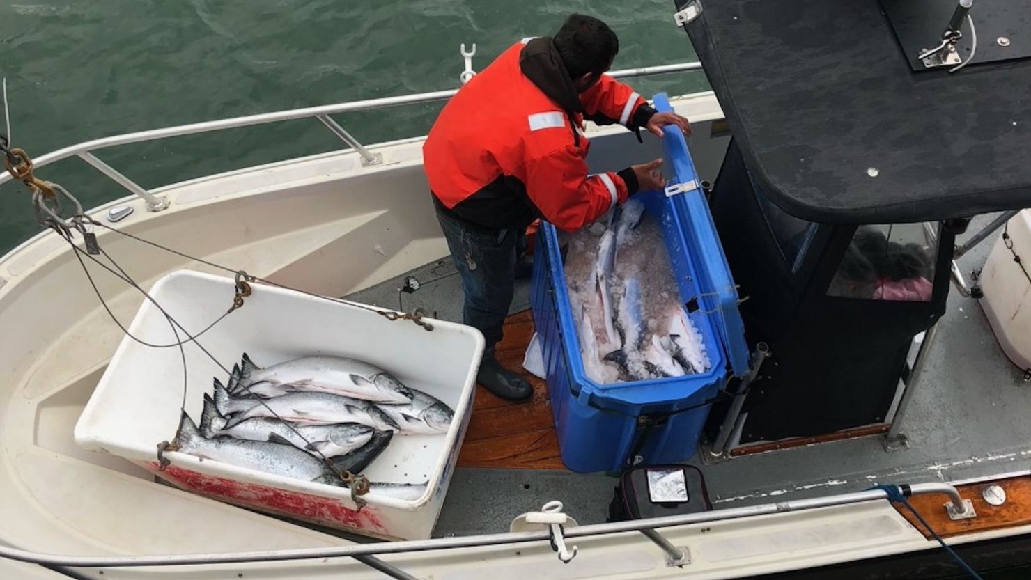 Salmon fishing off California's coast banned for second year in a