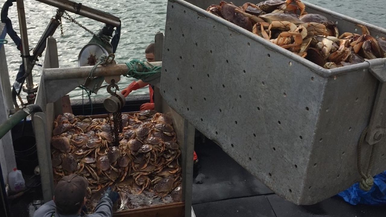 Another main fishery in California is the Dungeness crab. Here, men can be seen unloading the crabs from fishing boats for Water2Table, Joe Conte's fish distribution company.