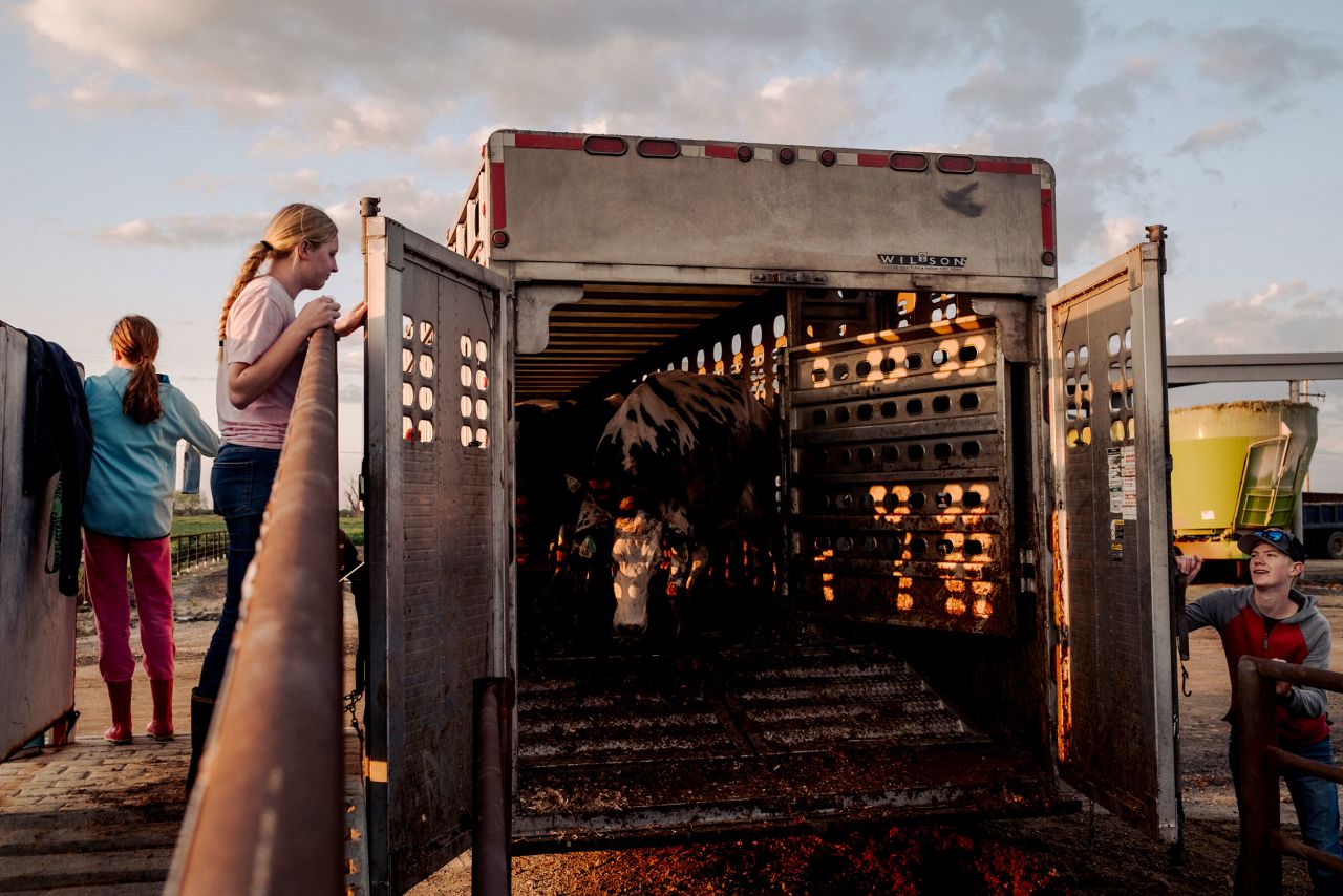 A farm in Corcoran, California, unloads part of its herd at the South Creek Dairy in Earlimart, California, on Saturday, March 25. Epic rainfall that has walloped California's Central Valley since late December has left no place for excess water to go, forcing farmers and emergency crews to race to save dairies, farmland and orchards. <a href="http://www.cnn.com/2023/03/23/world/gallery/photos-this-week-march-16-march-23/index.html" target="_blank">See last week in 37 photos</a>.