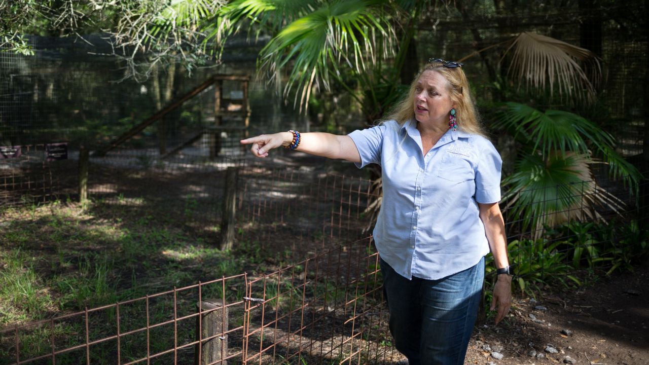 Carole Baskin walks the property at Big Cat Rescue in Tampa, Florida, on Thursday, July 20, 2017.