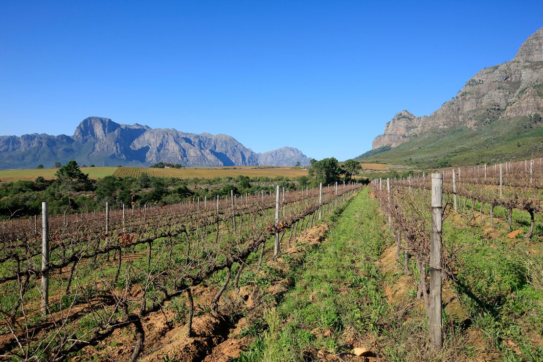 The Plaisir Wine Estate has its own mountain biking trails. 