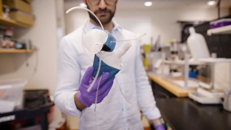 NextImg:See how 3D printed hearts are being used to identify treatment options | CNN Business